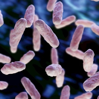 EU Reference Laboratory in Public Health on food- and waterborne bacteria