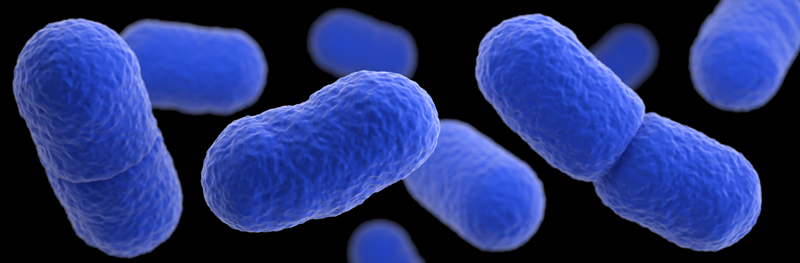 Listeria